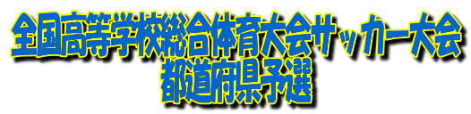 ‘S‘‚“™ŠwZ‘‡‘̈ç‘å‰ïƒTƒbƒJ[‘å‰ï
“s“¹•{Œ§—\‘I