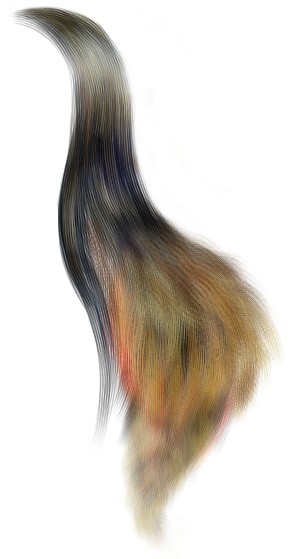 �����Ƃ��������ł���