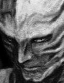 �V���L���Ƃ�