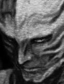 �s���p��