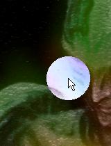 �y�^�y�^�F�h��