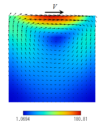 Lid Driven Cavity Flow